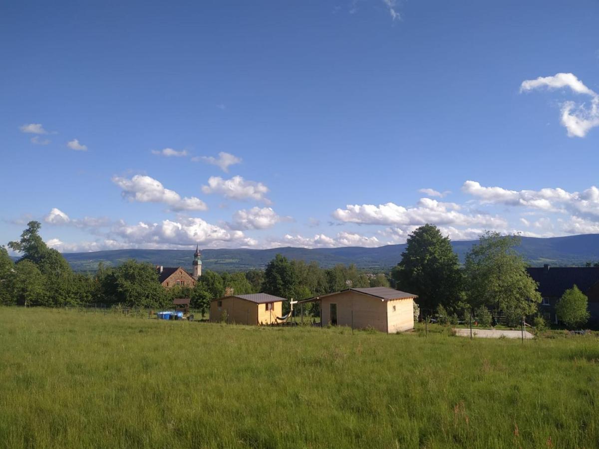 Domek W Gorach Izerskich 4 I 6 Osobowy, Agroturystyka, Zywe Zwierzeta, W Pelni Wyposazone, Plac Zabaw Dla Dzieci, Ognisko Z Kijkami I Rusztem, Ogrzewanie I Klimatyzacja, Latem Basen Mirsk Eksteriør billede