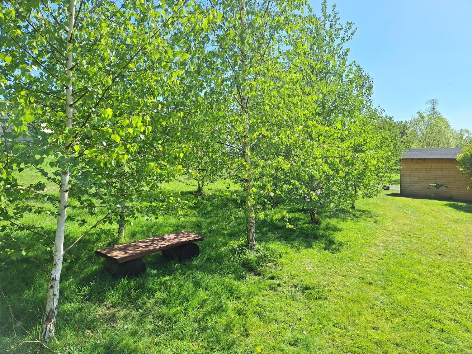 Domek W Gorach Izerskich 4 I 6 Osobowy, Agroturystyka, Zywe Zwierzeta, W Pelni Wyposazone, Plac Zabaw Dla Dzieci, Ognisko Z Kijkami I Rusztem, Ogrzewanie I Klimatyzacja, Latem Basen Mirsk Eksteriør billede